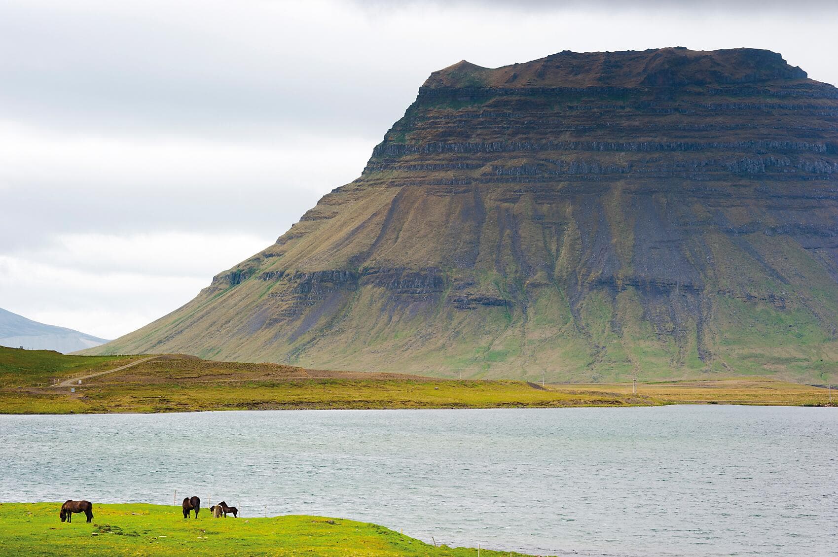 Icelandic nature and traditions 