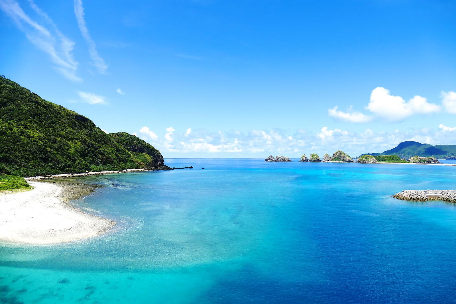 Odyssey in the heart of Japan’s subtropical islands 