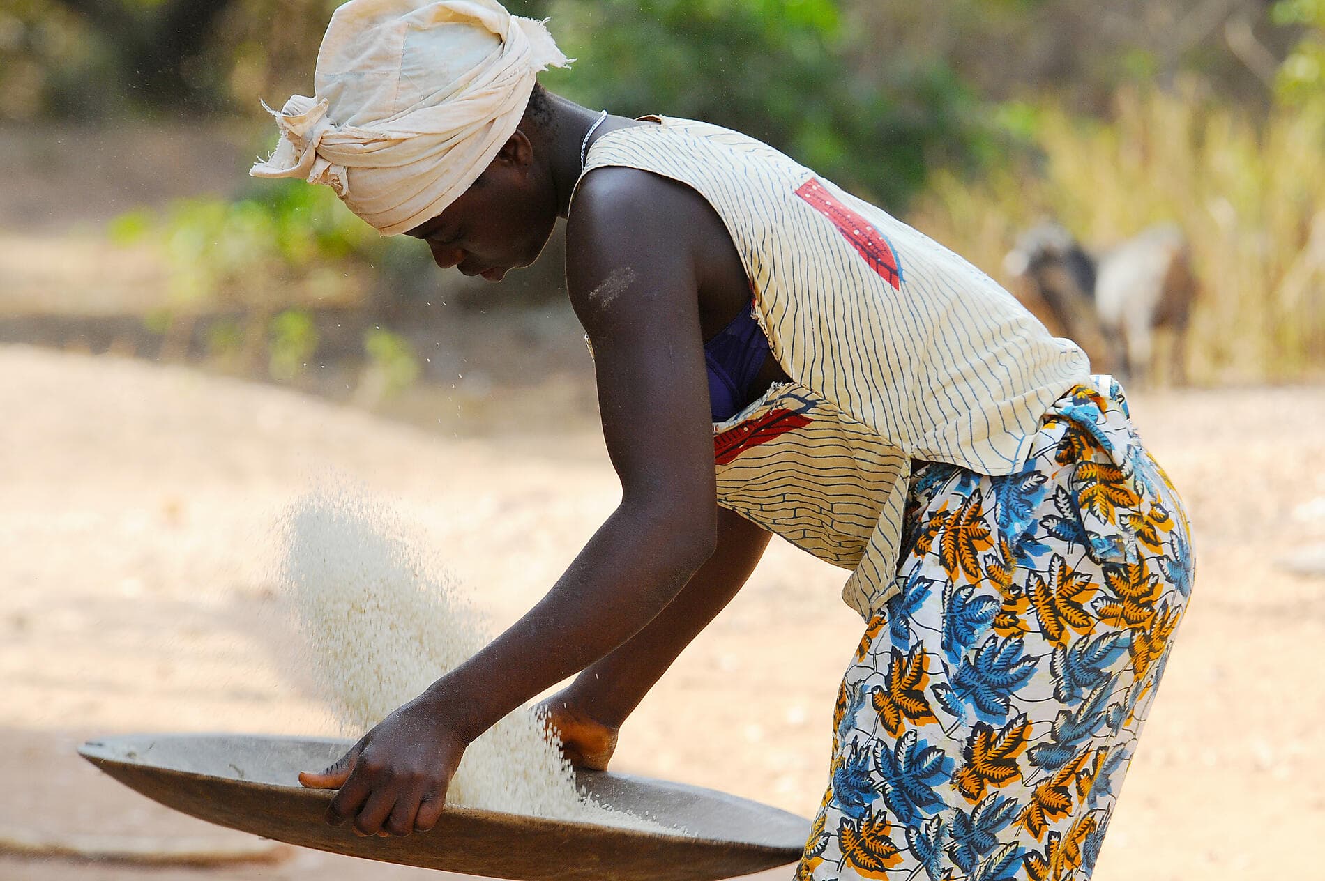 Adventure in the Bissagos Islands