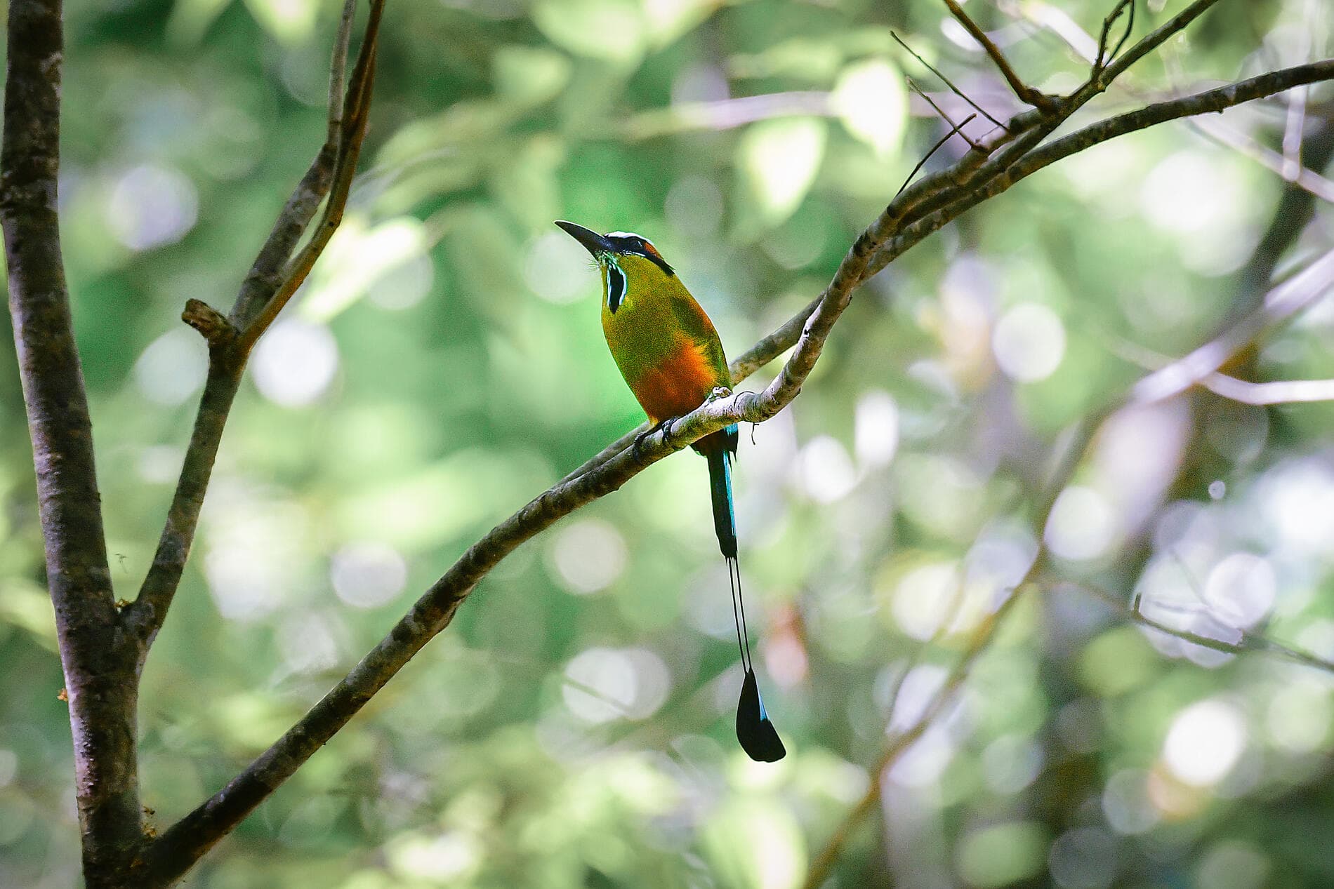 Secrets of Central America