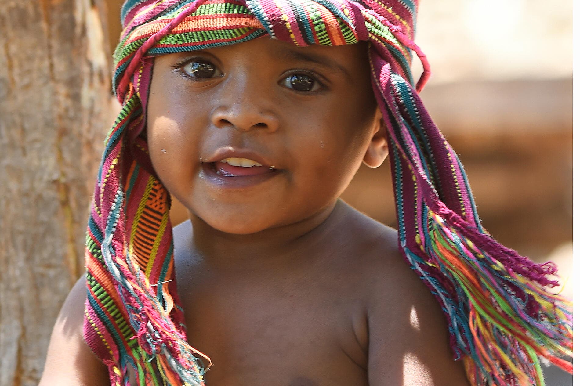 Tropical Indonesian Odyssey 