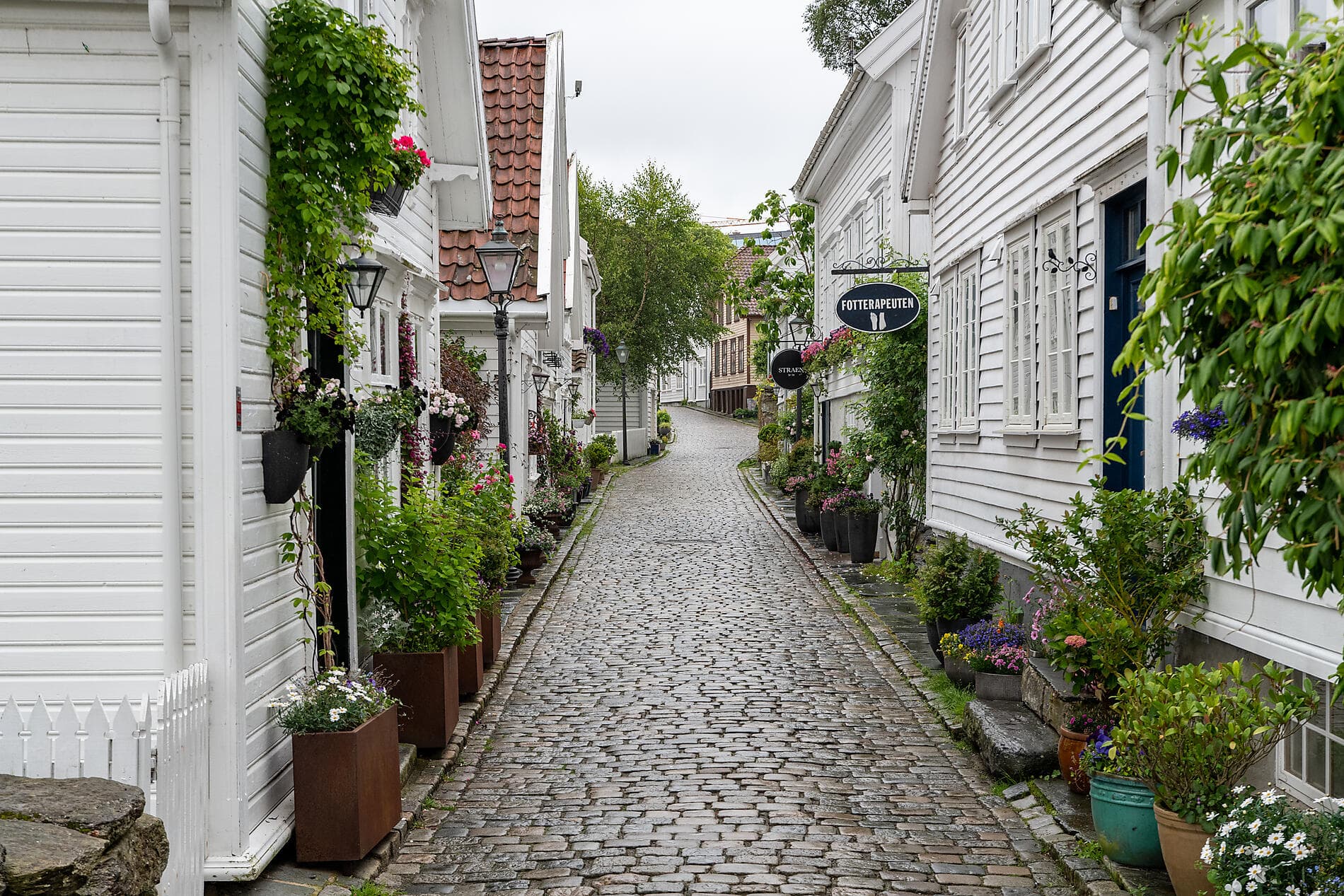 Nordic Sea Treasures