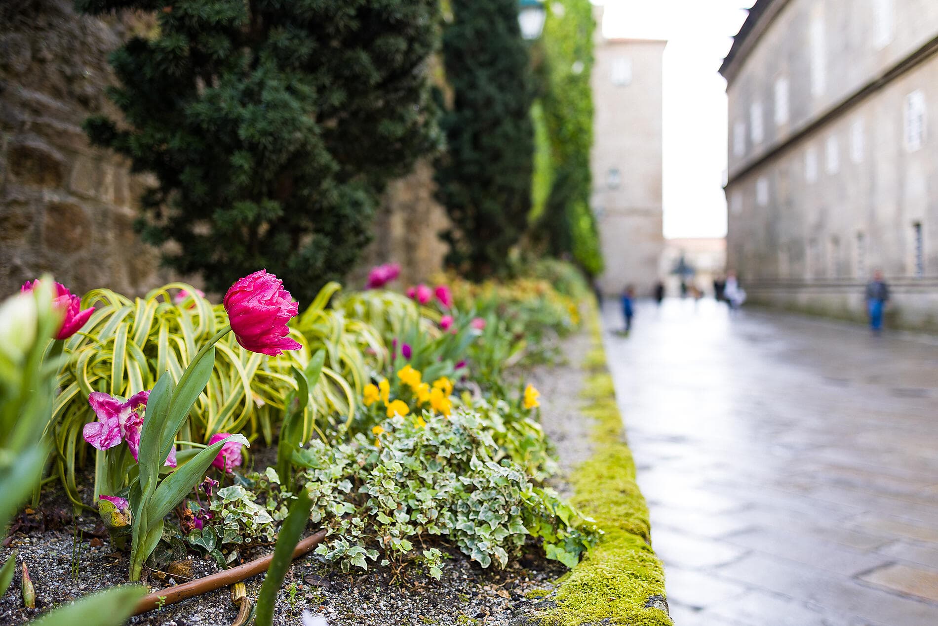The Iberian Peninsula and Fortified cities of the Atlantic 