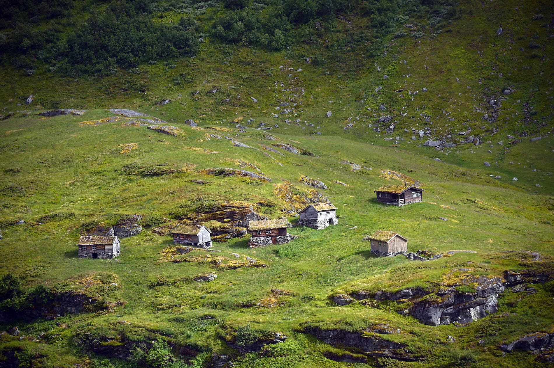 Scandinavian cities and Norwegian fjords 