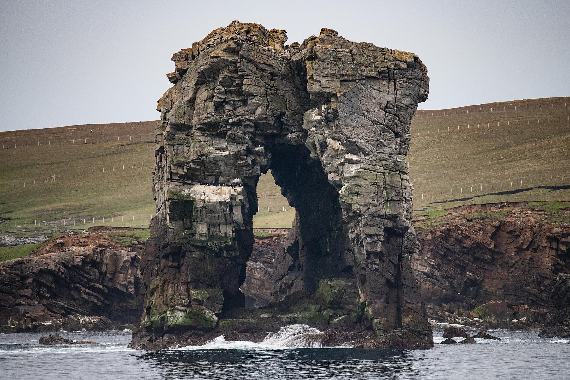The wild archipelagos of the North Atlantic  
