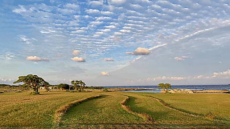 Mar 8, 26 - Kikaijima