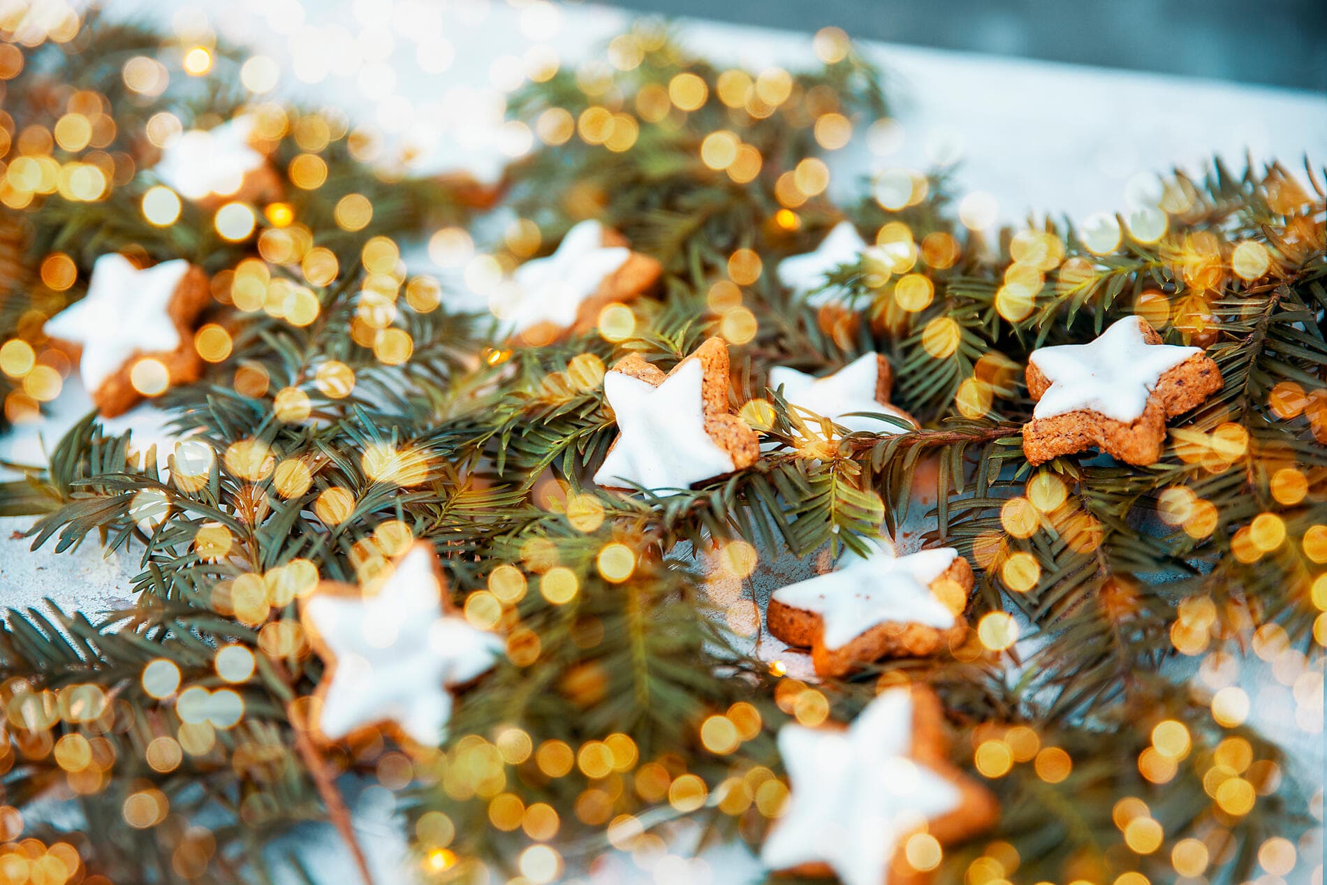 The Gulf of Bothnia, at the Gateway to the Arctic