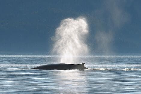 Sep 27, 27 - Sailing River Saint Lawrence and going through its locks