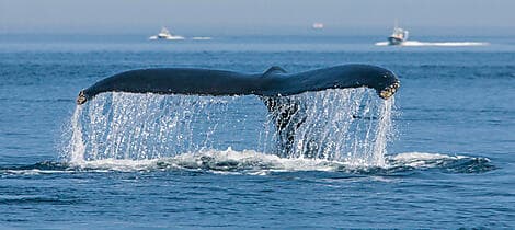 Sep 30, 27 - Tadoussac