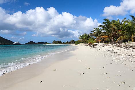 Feb 4, 26 - Sandy Island, Carriacou