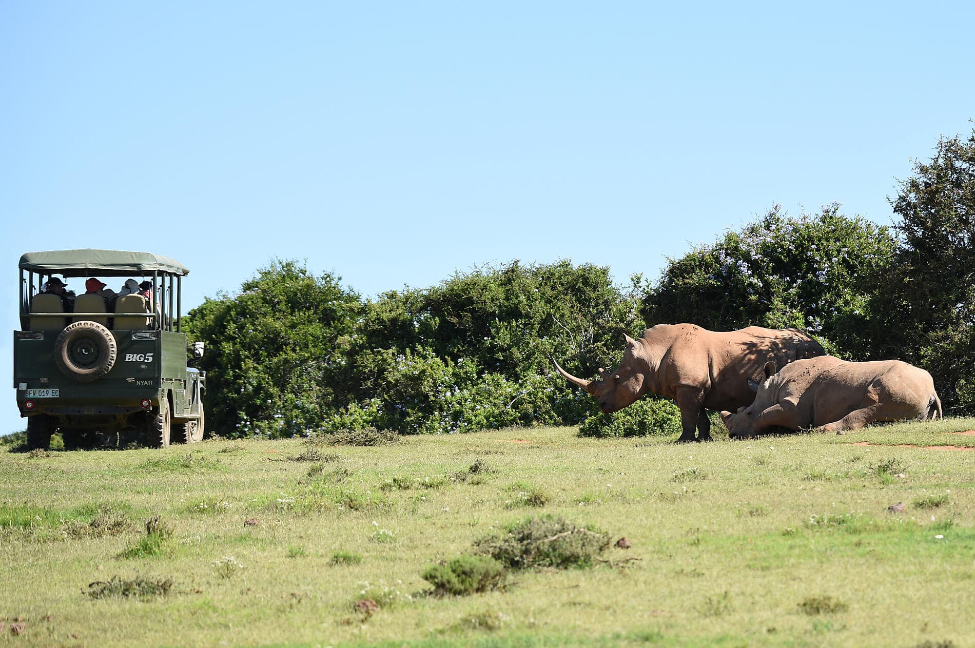 South Africa and Namibia by Sea: Around the Cape of Good Hope – with Smithsonian Journeys