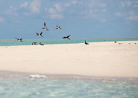 Jul 2, 26 - Ashmore Reef (technical stop)